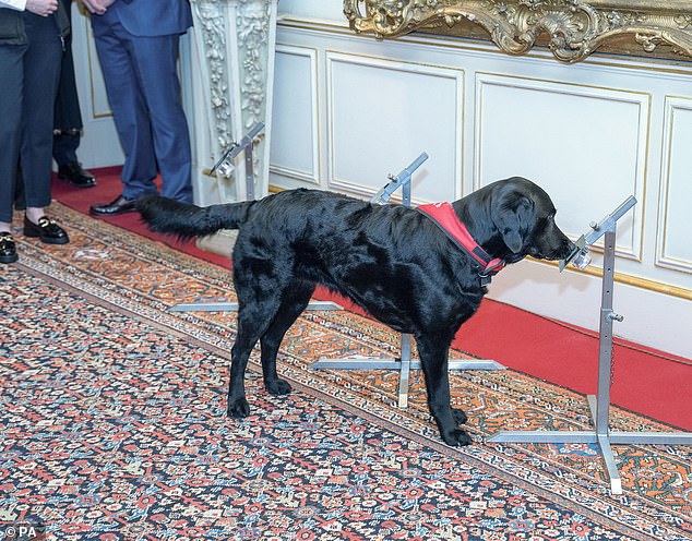 A detention dog named Plum showed off a variety of impressive skills during a demonstration at the reception.