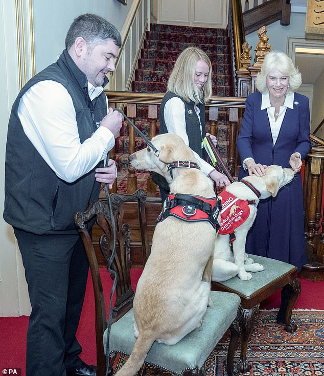 Her Majesty appeared in high spirits as she petted an adorable six-month-old detection dog at Clarence House.