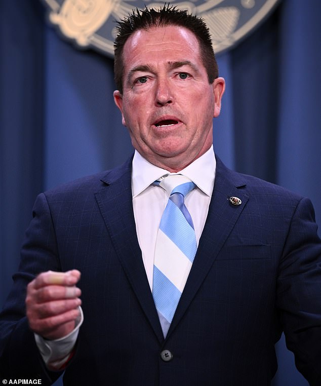 Shadow Police Minister Paul Toole (pictured) has called on the NSW government to support an inquiry into youth crime to find new ways to tackle the growing epidemic.