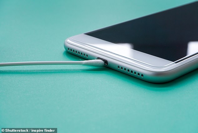 If you have water in the charging port, Apple recommends not sticking anything like a cotton swab inside, as this can end up damaging the pins and leaving bits of material behind (file image)