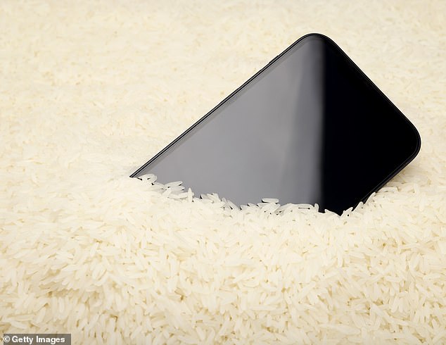 You may have heard the myth that a bowl of dry rice can fix a drowned phone. However, Apple now says this risks doing more harm than good, as small particles of rice can damage the phone (stock image)