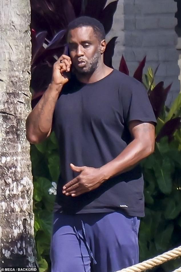 The 54-year-old Harlem-born rapper has filed his first legal challenge against the explosive abuse allegations made by the alleged victim, now 30 years old. (Pictured: Diddy in November)