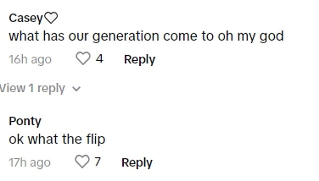 TikTok commenters seemed torn between identifying with therians and finding the concept strange.