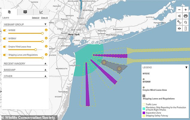Fin whales from the New York Bight tend to occupy this mapped area, but the traffic routes (dotted yellow lines) of ships can pose a threat to the whales, both through direct impacts and the noise of their engines. that interrupts the song of the whales.