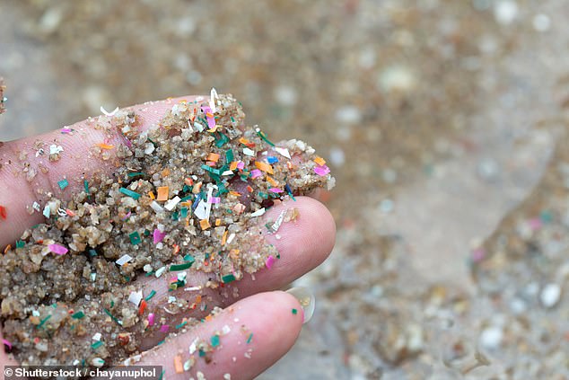 Microplastics have been found almost everywhere on Earth, including beaches, mountains, and pristine wilderness areas.
