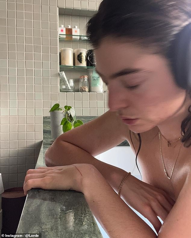 Fans couldn't help but speculate that Lorde's post was a teaser for the release of her upcoming music.