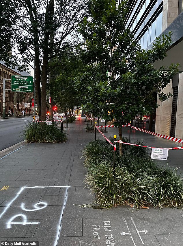 Nearly a dozen trees on Abercrombie Street in Chippendale (pictured) were taped shut on Wednesday over fears the mulch underneath could contain asbestos.
