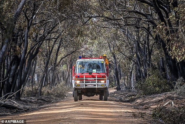 1708599668 532 Victoria bushfires Residents urged to evacuate as raging bushfires burn