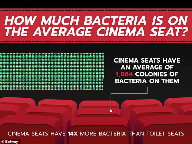 Experts discovered huge colonies of bacteria and mold hidden in both the seats and cupholders;  some partitions harbor 14 times more insects than the average toilet.