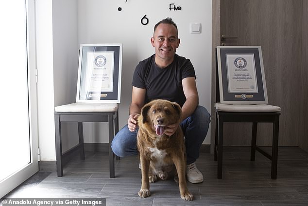 Leoneland Bobi poses with Guinness World Record certificates in Leiria, Portugal, on July 2, 2023