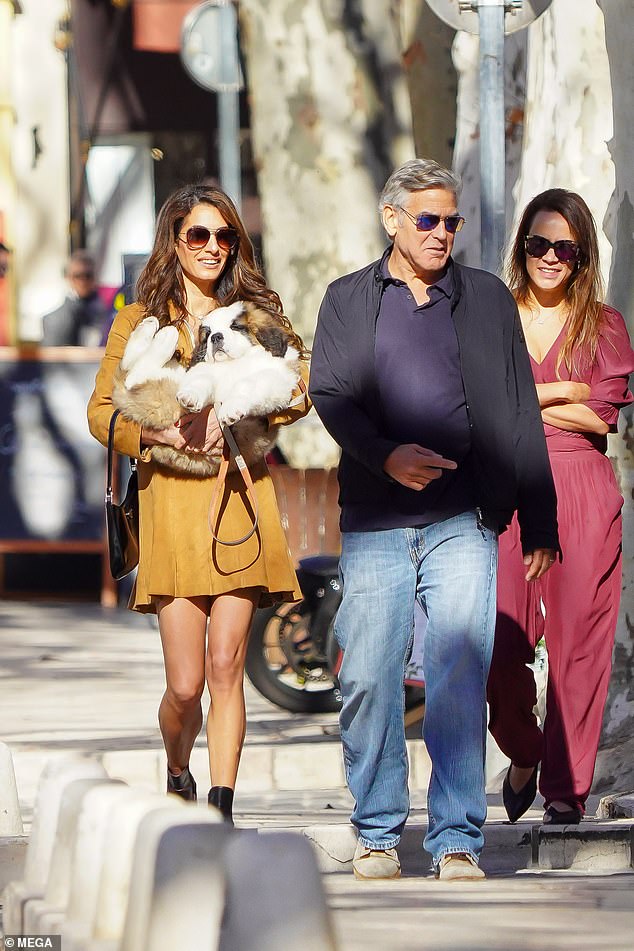 George surprised his wife Amal on her 46th birthday with a St. Bernard puppy named Nelson