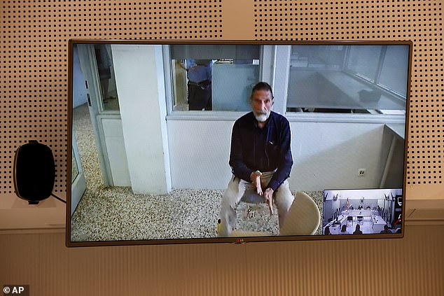 McAfee appeared by videoconference during his extradition hearing at the National Court in Madrid, Spain.