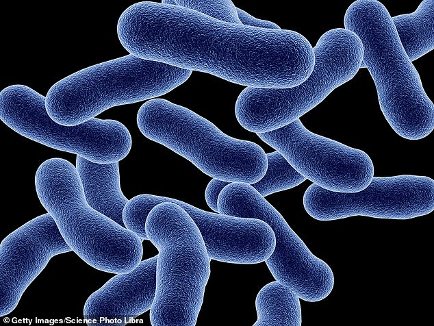 Three people in Sydney were recently hospitalized with Legionnaires' disease