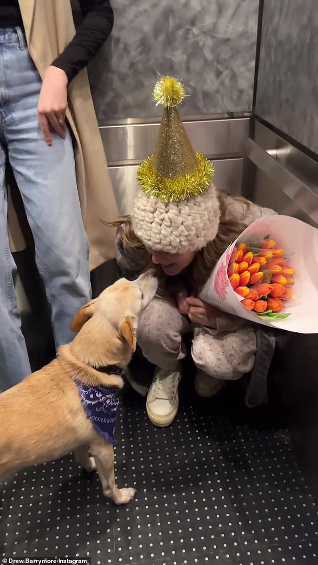 Even a cute yellow dog got a little of Drew's love and excitement on his special day.
