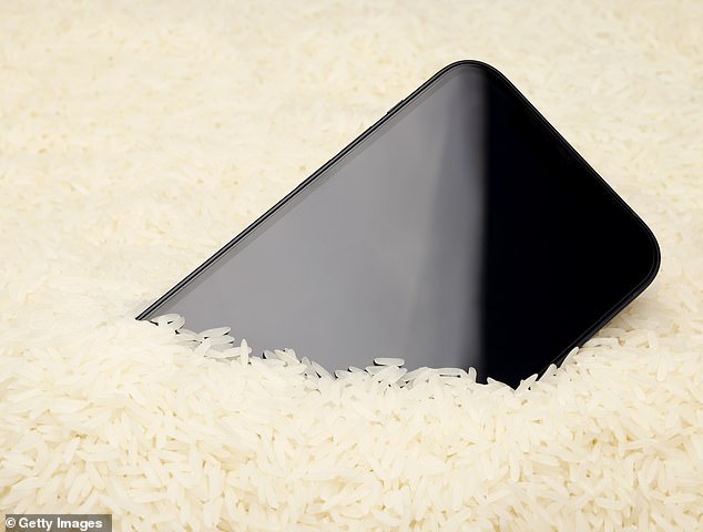 Apple said the hard rice particles could damage the Lightning port connectors, scratch the screen or lodge in the device.