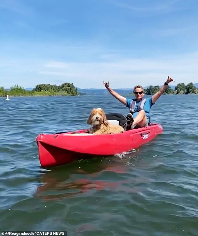 The patient dog is up for anything and enjoys a canoe trip.