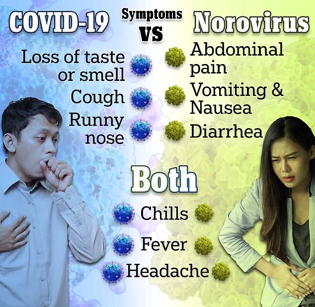 The above shows the difference in symptoms between Covid and norovirus