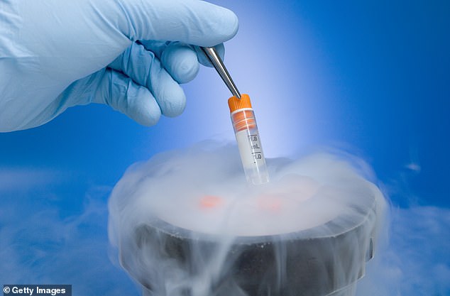 Embryos are frozen for later use, and some are usually destroyed.
