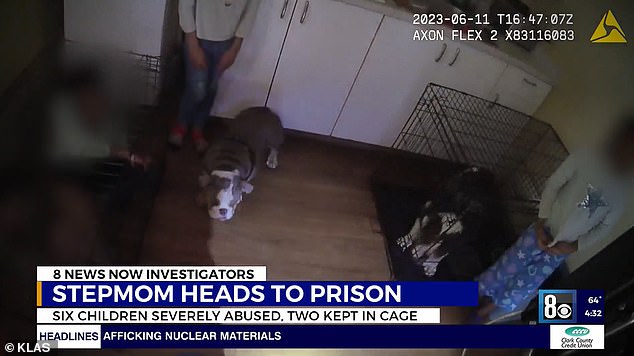 Authorities found the six children home alone with two dogs wandering around their property.