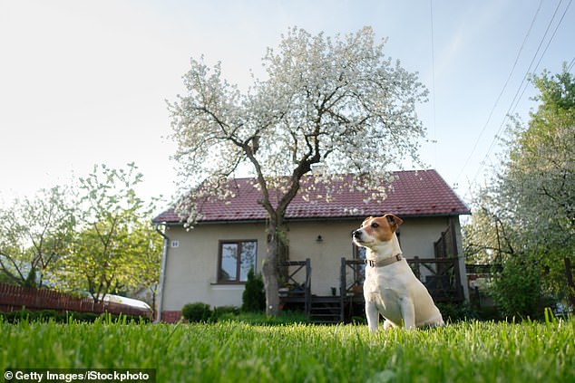 The anonymous user revealed that his mother's 90-year-old neighbor allows her dog to roam twice a day before he ends up pooping on her lawn.