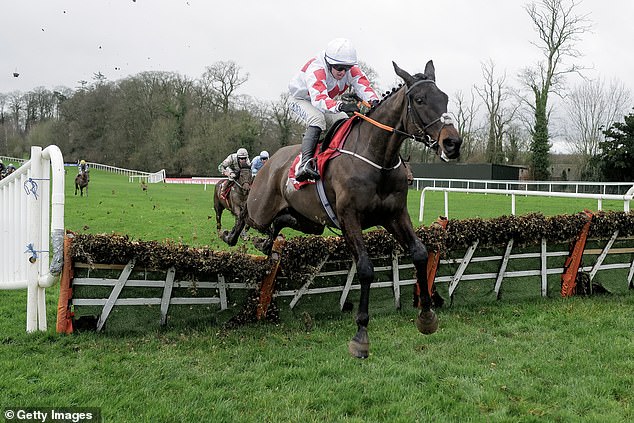 Champagne Mahler took an impressive win at Gowran Park last month