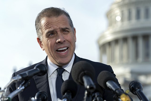 Hunter Biden's businesses have been questioned during recent congressional hearings into his father's impeachment inquiry.