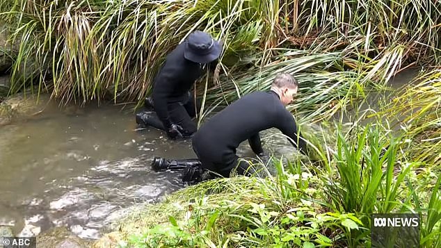 Police divers are seen searching a waterway in Lambton, Newcastle