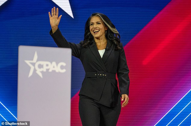 Former Democratic Rep. Tulsi Gabbard is also on the list as a possible vice presidential pick.