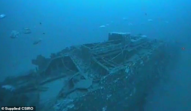 Scientists now believe that the SS Nemesis' engine was overwhelmed by a storm and suffered damage to the bow and stern (pictured, Nemesis' aft hatch and engine).
