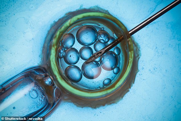 British women could be paying more for fertility treatments (file image)