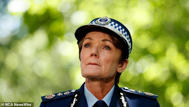 NSW Police Commissioner Karen Webb asked the community to 'be patient' with the investigation
