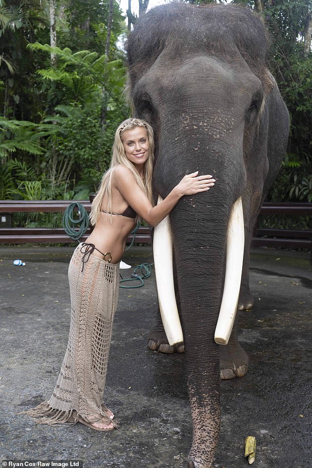 Mason Elephant Sanctuary Bali is the only dedicated elephant rescue park in Ubud, Bali.