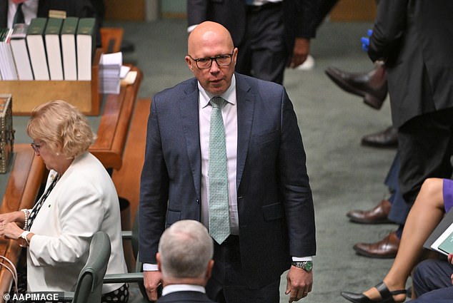 Prime Minister Anthony Albanese remains seven points ahead of Opposition Leader Peter Dutton (pictured) as preferred Prime Minister.