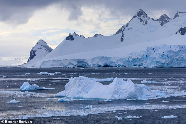 Sea ice plays an important role in maintaining the Earth's energy balance while also helping to keep the polar regions cool due to its ability to reflect more sunlight back into space.  Pictured is sea ice in the water off Cuverville Island in Antarctica.