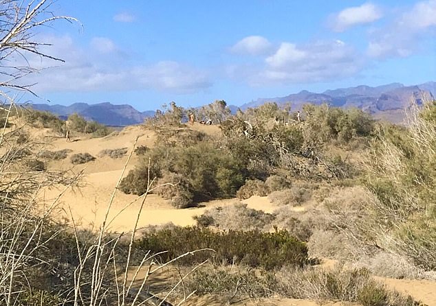 Authorities have vowed to get tougher on visitors who break the law by having sex in the dunes, which can cause damage to the stunning but fragile ecosystem.