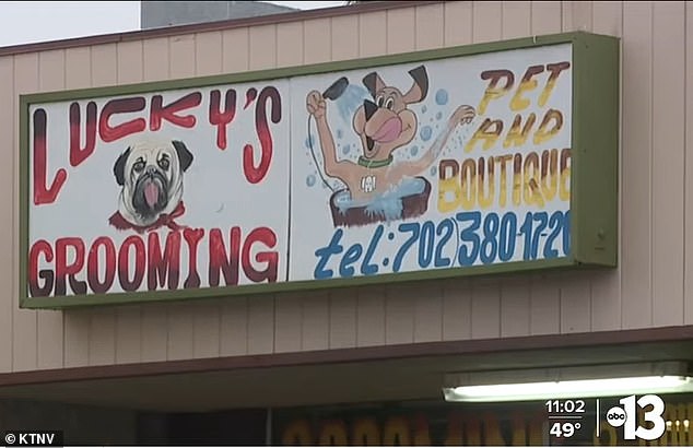 Lucky's Grooming and Pet Boutique in Las Vegas. The four-year-old dog had been a customer for years, but Davis claims she became paralyzed while she was at the boutique in December.