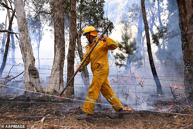 Areas with an extreme fire danger rating on Wednesday in Victoria were the Mallee, Northern Country, North Central, Central and South West regions (pictured, a firefighter in Raglan, Victoria).