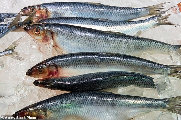 Warmer water means smaller plankton, which means fish get fewer nutrients from what they eat, the researchers found (pictured: freshly caught herring at a fish market)