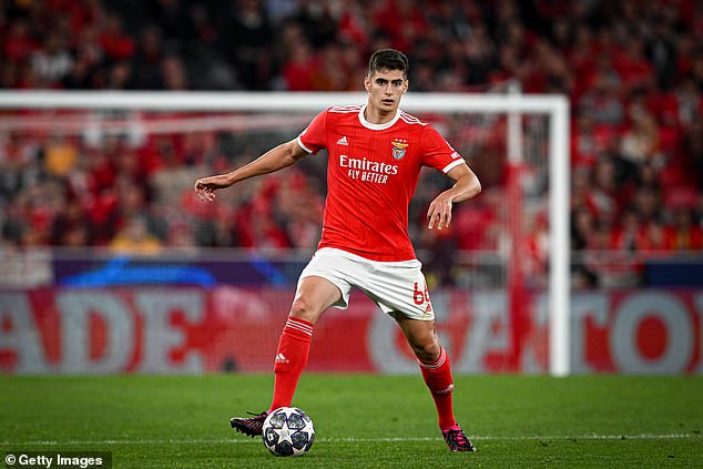 United are reportedly leading the race for Benfica defender Antonio Silva (pictured)