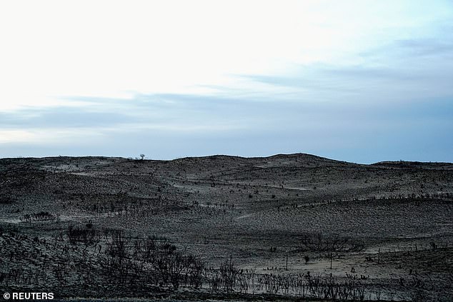 A view of the charred grasslands that were burned by the Smokehouse Creek wildfire