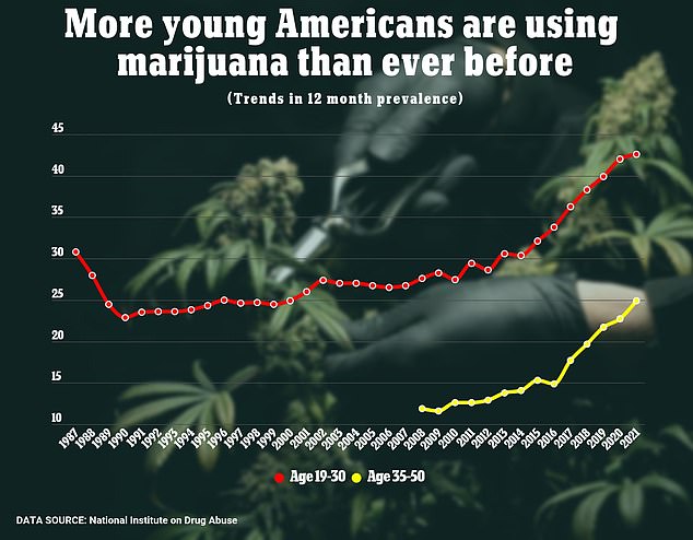 The link between recreational marijuana use and alcohol use in recent years has been most significant among younger adults ages 18 to 24.