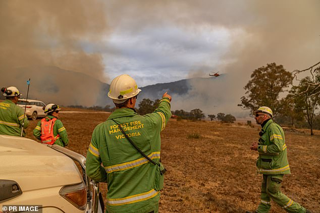 The Bayindeen bushfire, northwest of Ballarat, has burned more than 22,000 hectares.