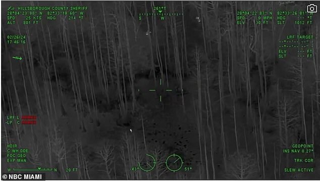 Thermal camera footage showed the girl walking through the wooded area, leading officers to her location.