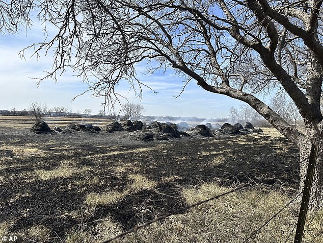 Ranch workers ran out of time to evacuate their livestock as the fire approached.