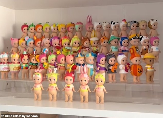 Content creator and Sonny Angel fan Destiny, from California, took to TikTok to share her collection of Sonny Angels.