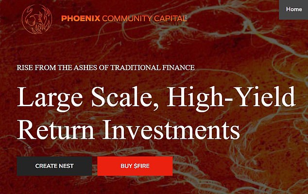 Phoenix offered a cryptocurrency called fire, with 10 tokens it gave investors a 'nest'