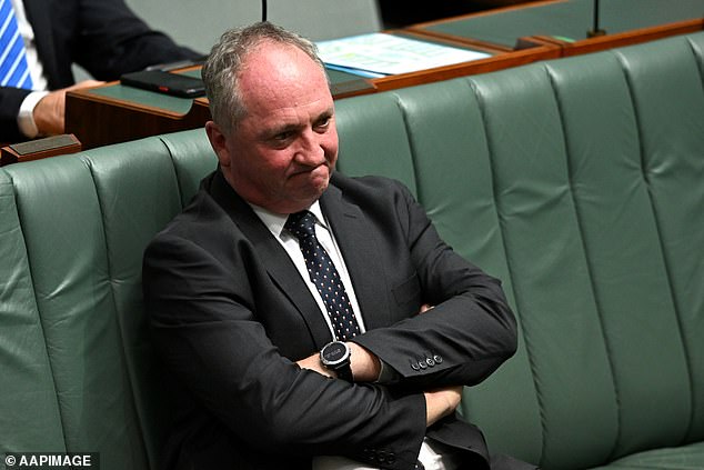 Barnaby Joyce returns to parliament for the first time since the video scandal