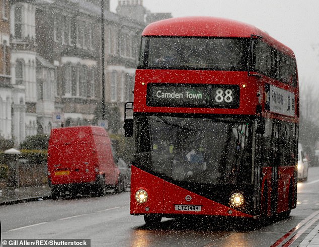 It is estimated to be around 42 feet in diameter, which is longer than a London bus (stock image pictured) and about half the size of a blue whale.