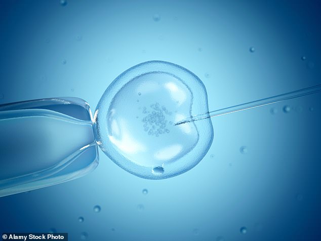 Groundbreaking research from Monash University in Melbourne may be the key to improving IVF success rates as male fertility around the world continues to decline (file image)