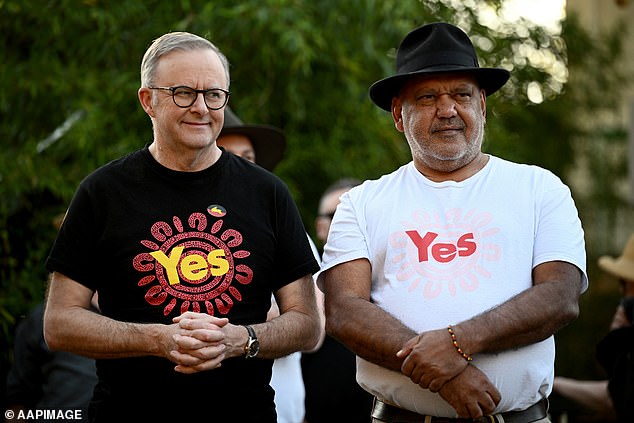 Anthony Albanese responded to criticism from Voice to Parliament campaigner Noel Pearson that 